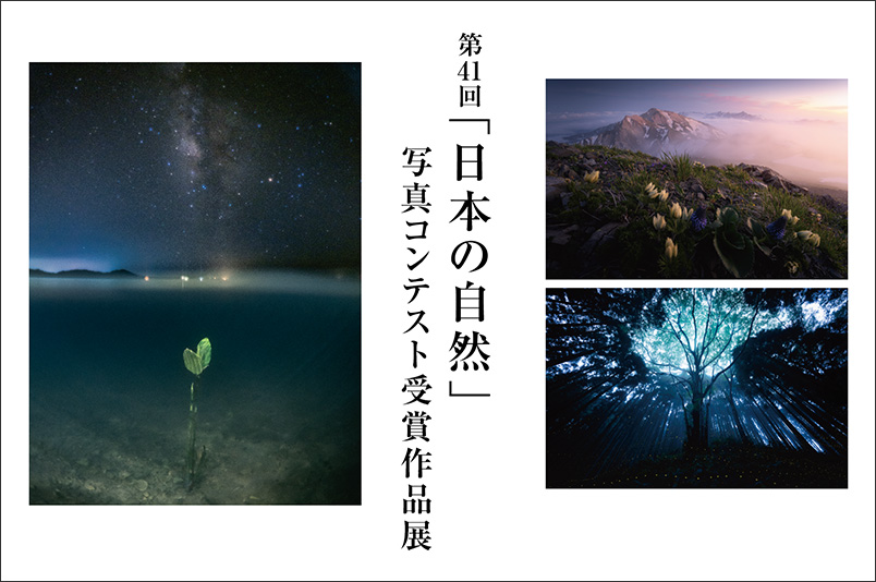 第41回「日本の自然」写真コンテスト 受賞作品展