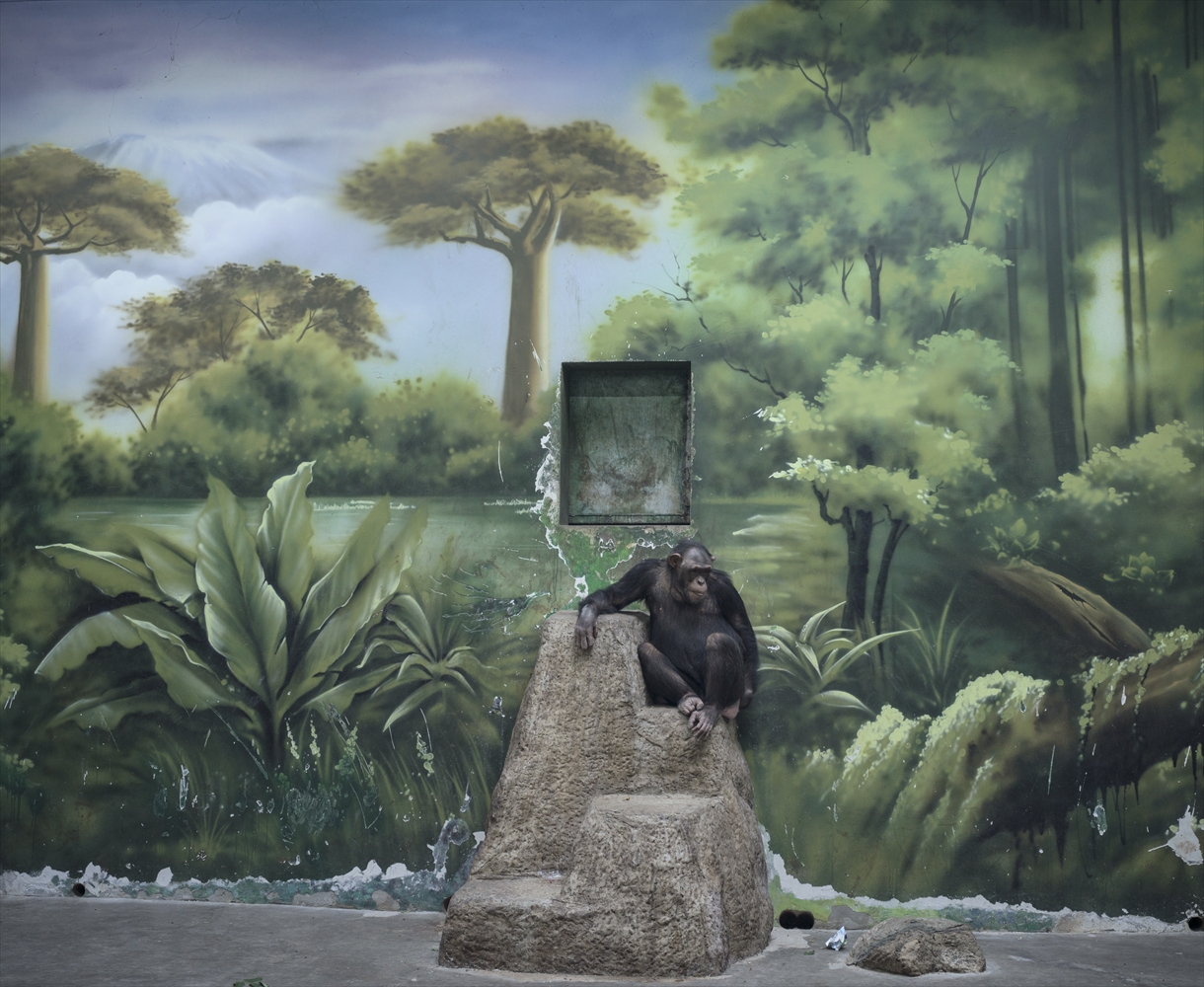 Sony World Photography Awards ソニーワールドフォトグラフィーアワード2025 受賞作品展
