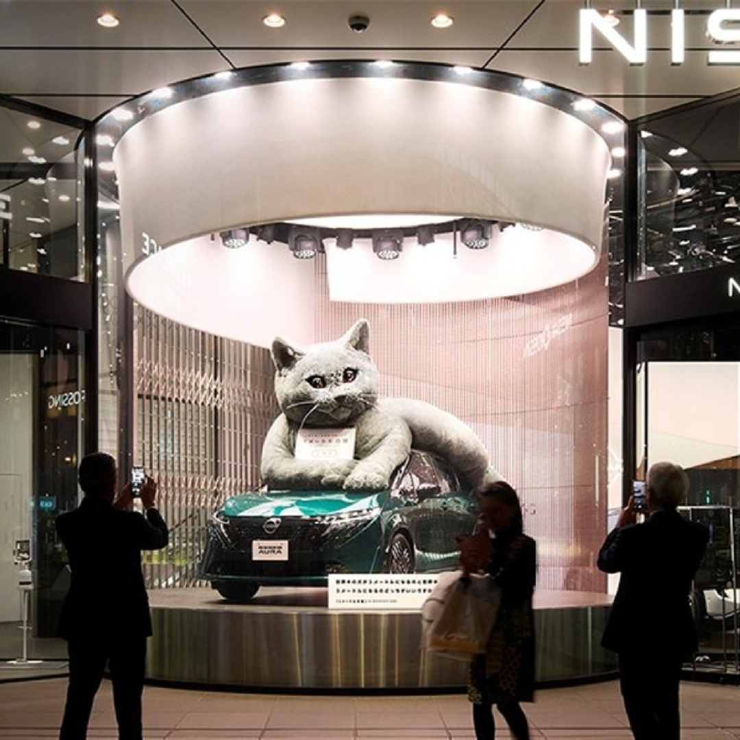 NIGHT OF AURA「実物大3メートルの猫」を展示中