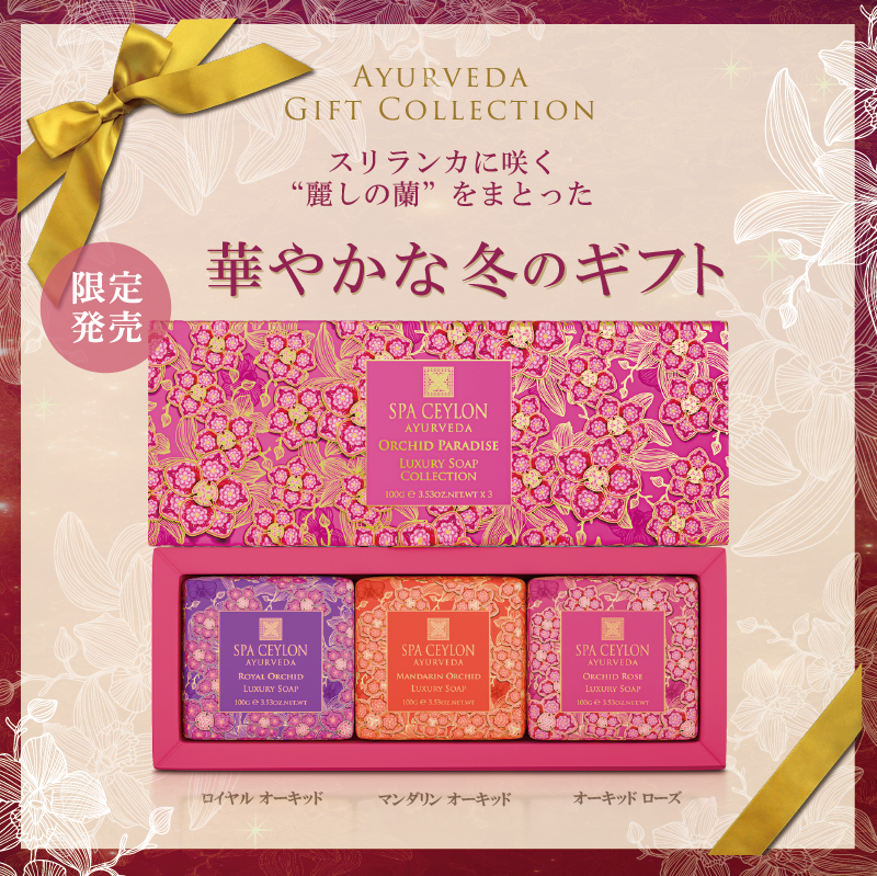 気持ちを伝える季節に、蘭に包まれる華やかな限定ギフト