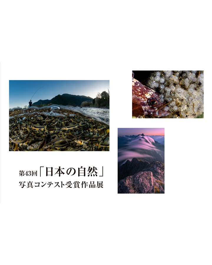 第43回「日本の自然」写真コンテスト 受賞作品展 主催/朝日新聞社、全日本写真連盟、森林文化協会